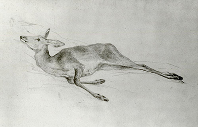 Deer John Singer Sargent